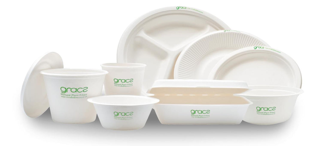 Nachhaltig Zuckerrohr einweggeschirr kreislauf