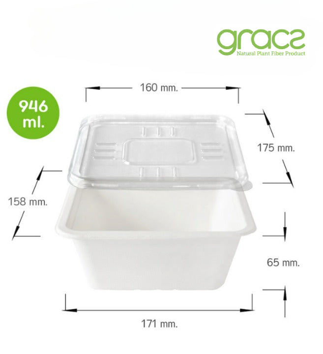 Quadratische LUNCHBOX/ BENTOBOX 946 ML.