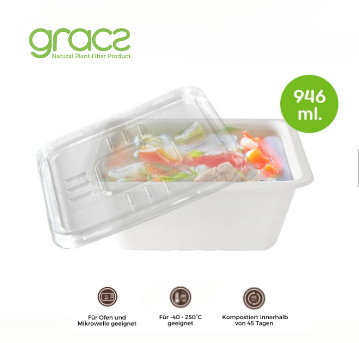 Quadratische LUNCHBOX/ BENTOBOX 946 ML.