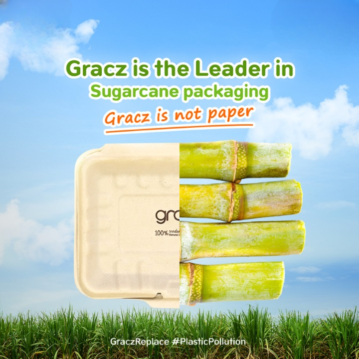 Zuckerrohr Bagasse Einweggeschirr